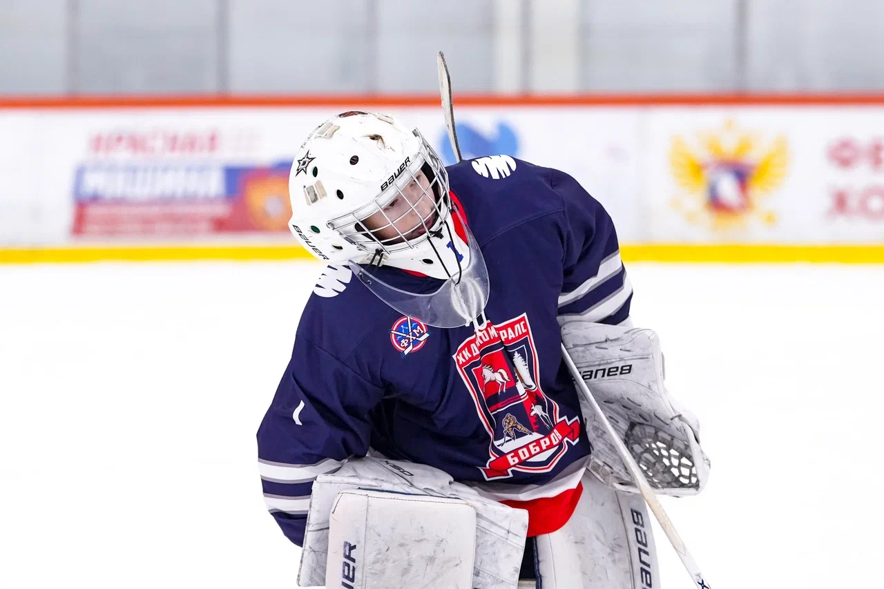 Фото: Деко Минералс - Буран (Москва) 2013
