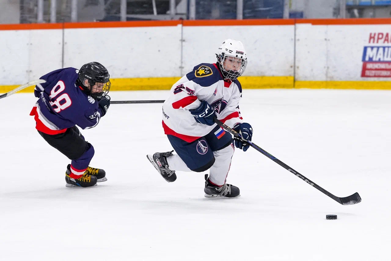 Фото: Деко Минералс - Буран (Москва) 2013