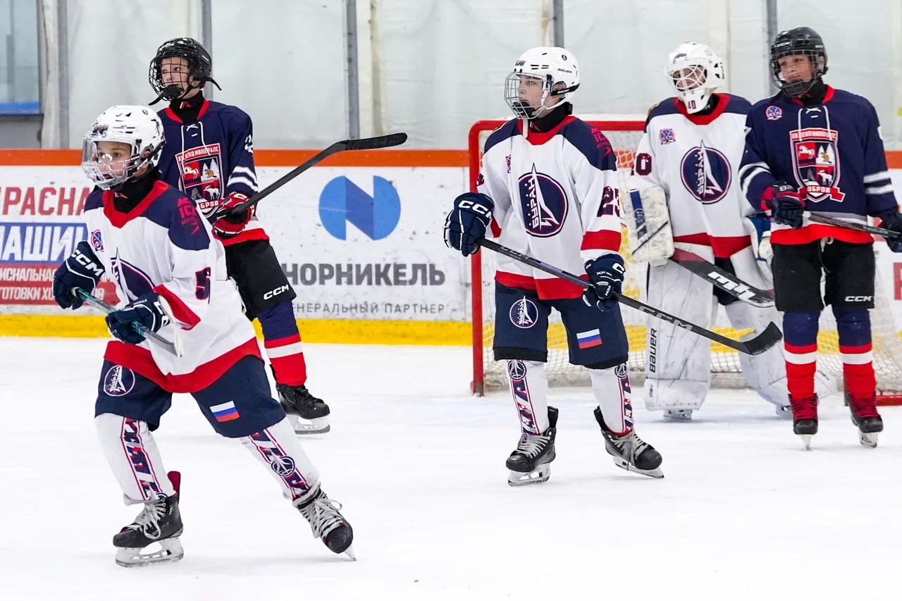 Фото: Деко Минералс - Буран (Москва) 2013