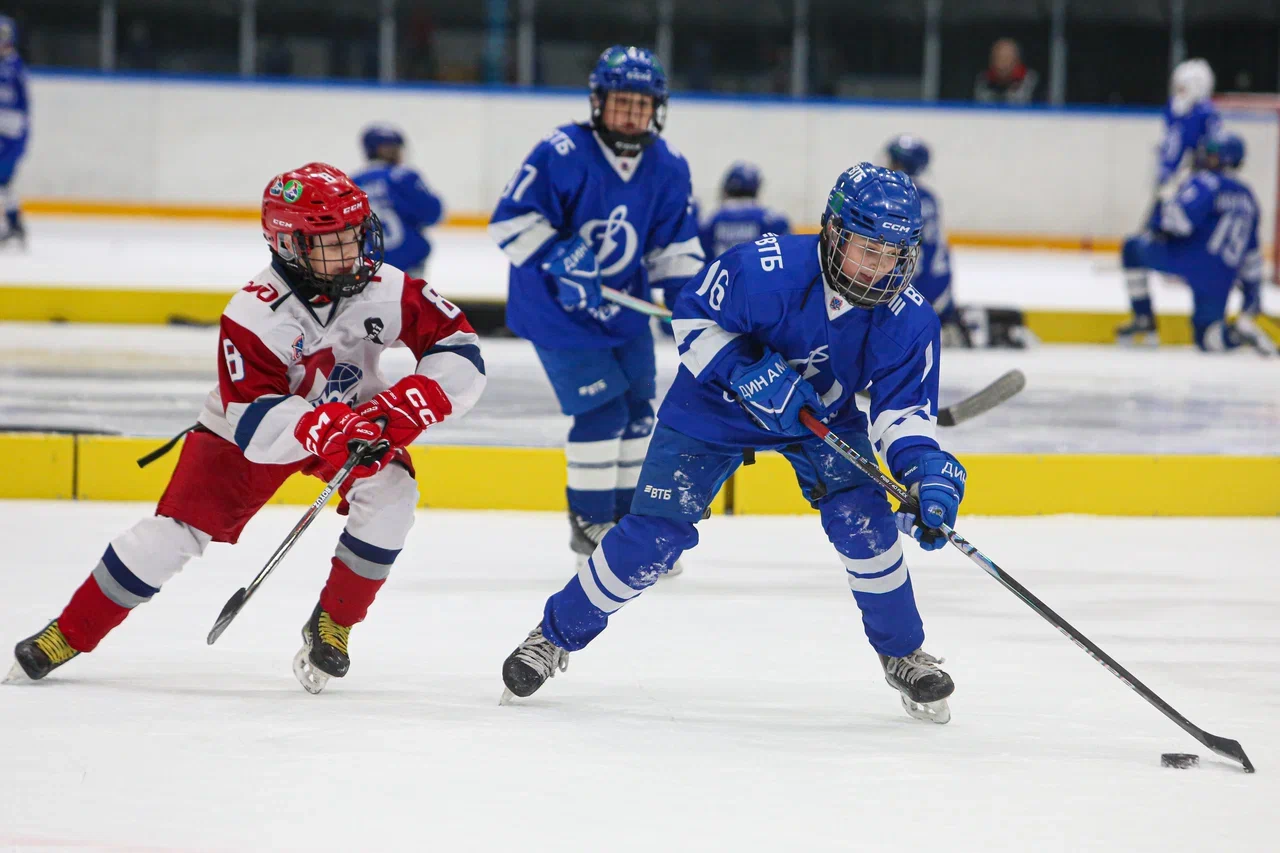 Фото: Динамо -Локомотив 2015 