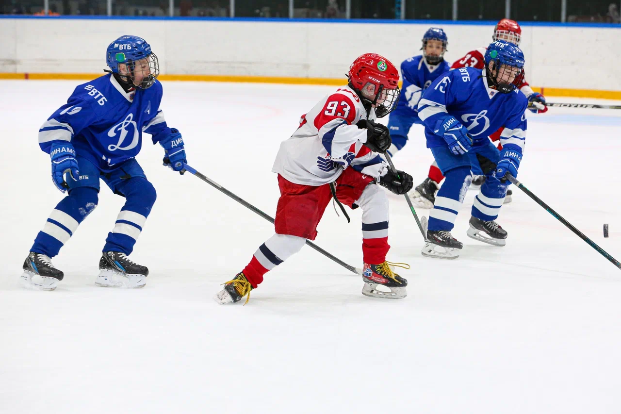 Фото: Динамо -Локомотив 2015 
