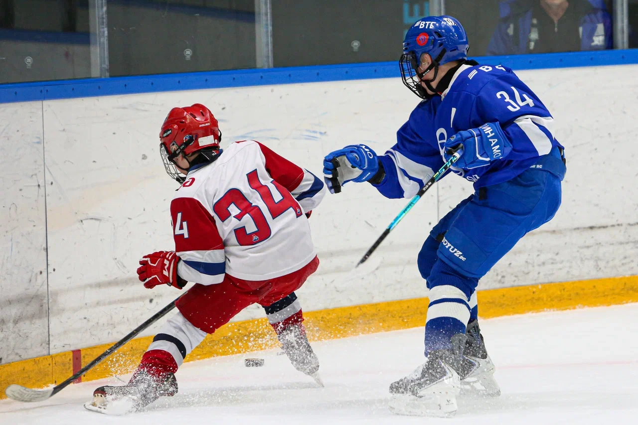 Фото: Динамо -Локомотив 2015 