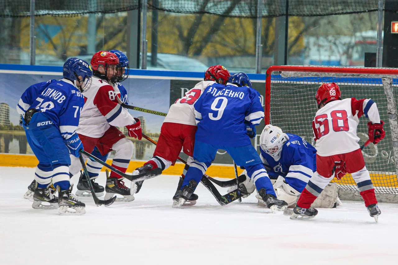 Фото: Динамо -Локомотив 2015 