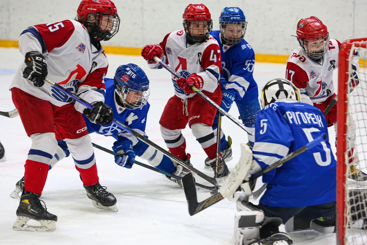 Фото: Динамо -Локомотив 2015 