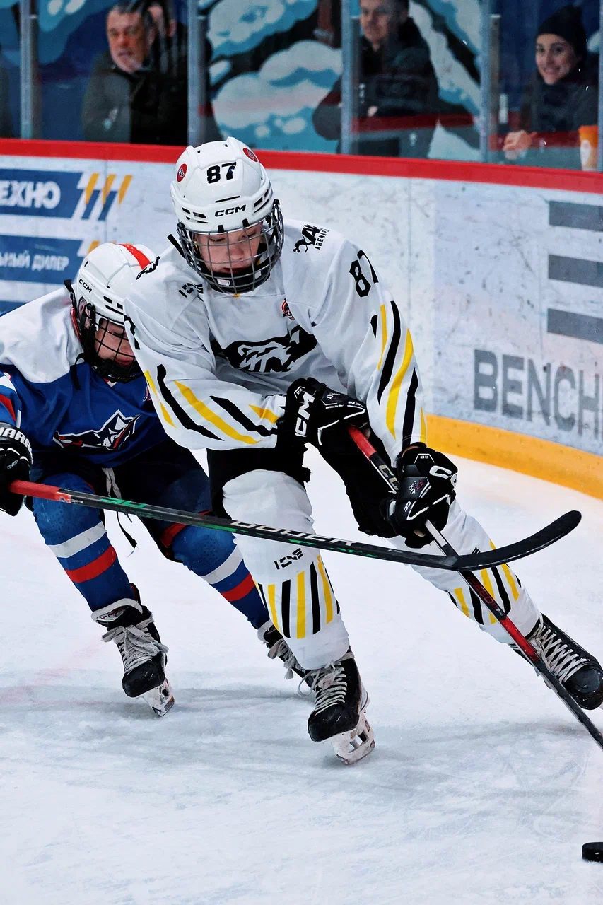 Фото: Гранит - Арена Плей Трактор 2015