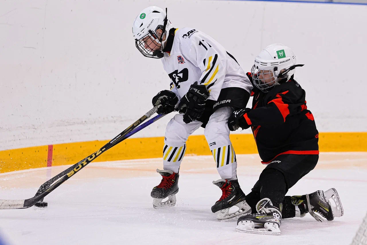 Фото: Рыцари - Арена Плей Юг 2015