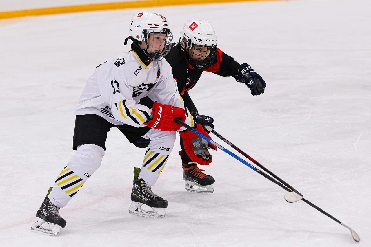 Фото: Рыцари - Арена Плей Юг 2015