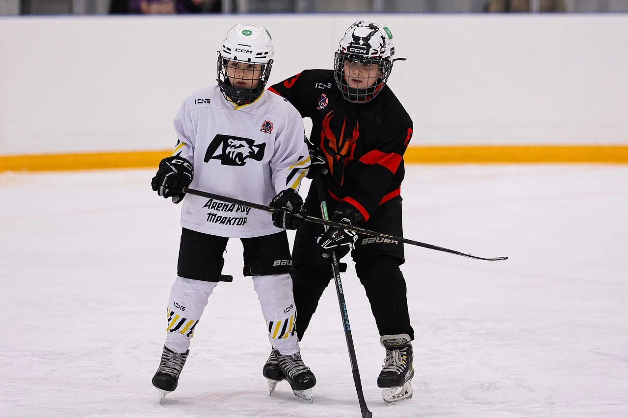 Фото: Рыцари - Арена Плей Юг 2015