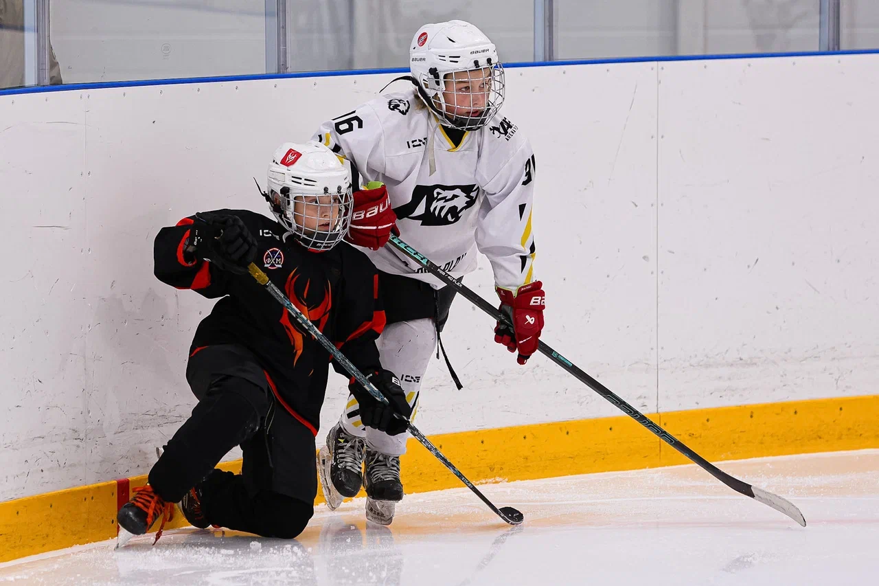 Фото: Рыцари - Арена Плей Юг 2015