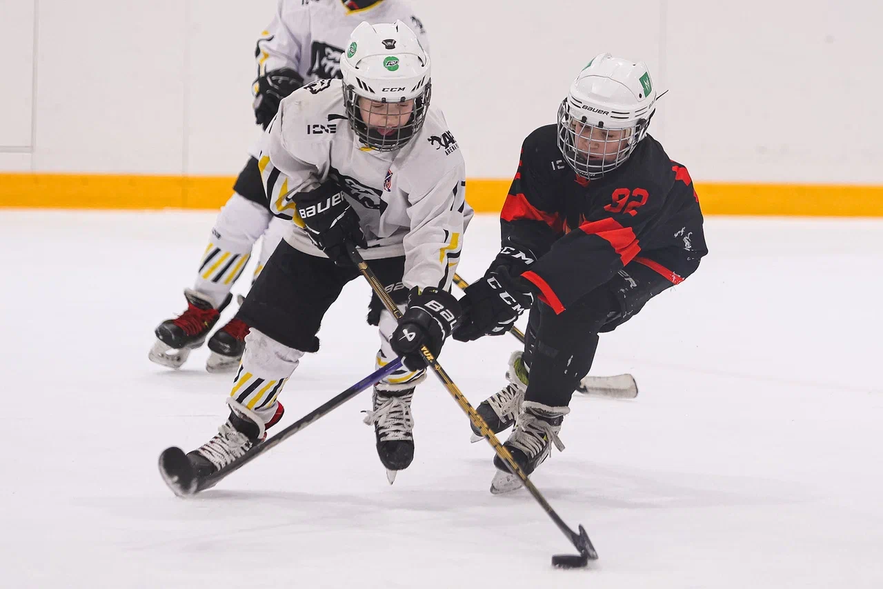 Фото: Рыцари - Арена Плей Юг 2015