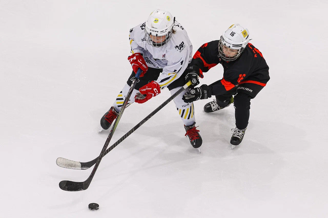 Фото: Рыцари - Арена Плей Юг 2015