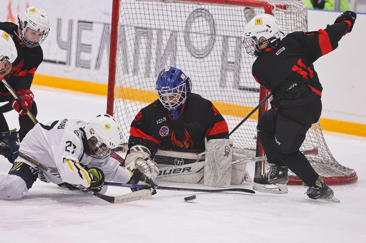 Фото: Рыцари - Арена Плей Юг 2015