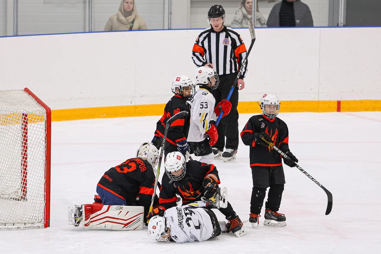 Фото: Рыцари - Арена Плей Юг 2015