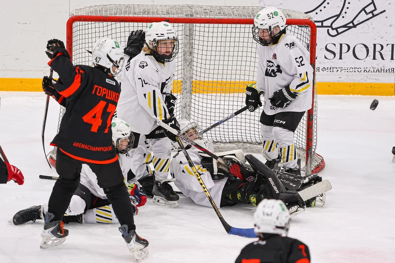 Фото: Рыцари - Арена Плей Юг 2015