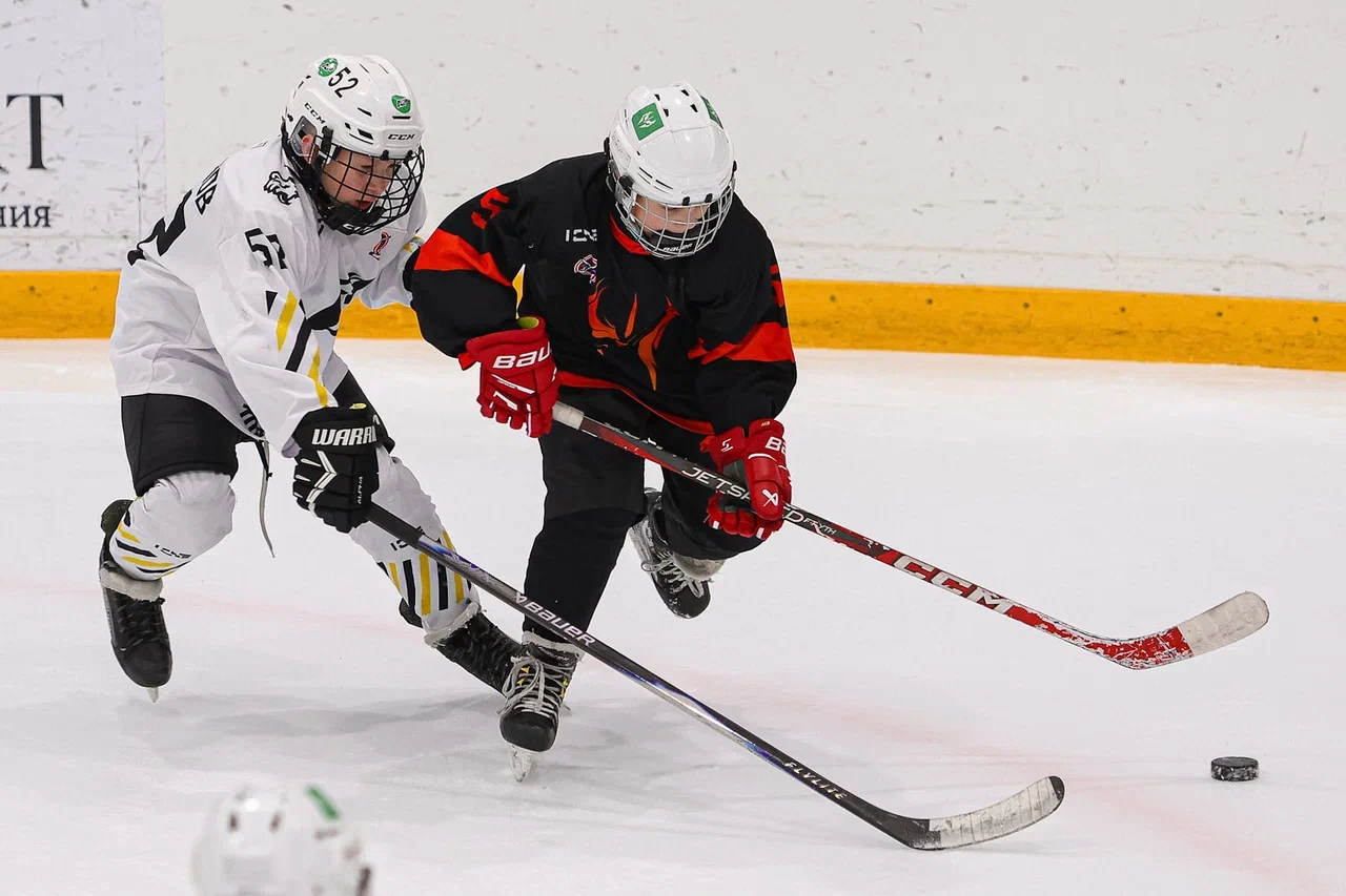 Фото: Рыцари - Арена Плей Юг 2015