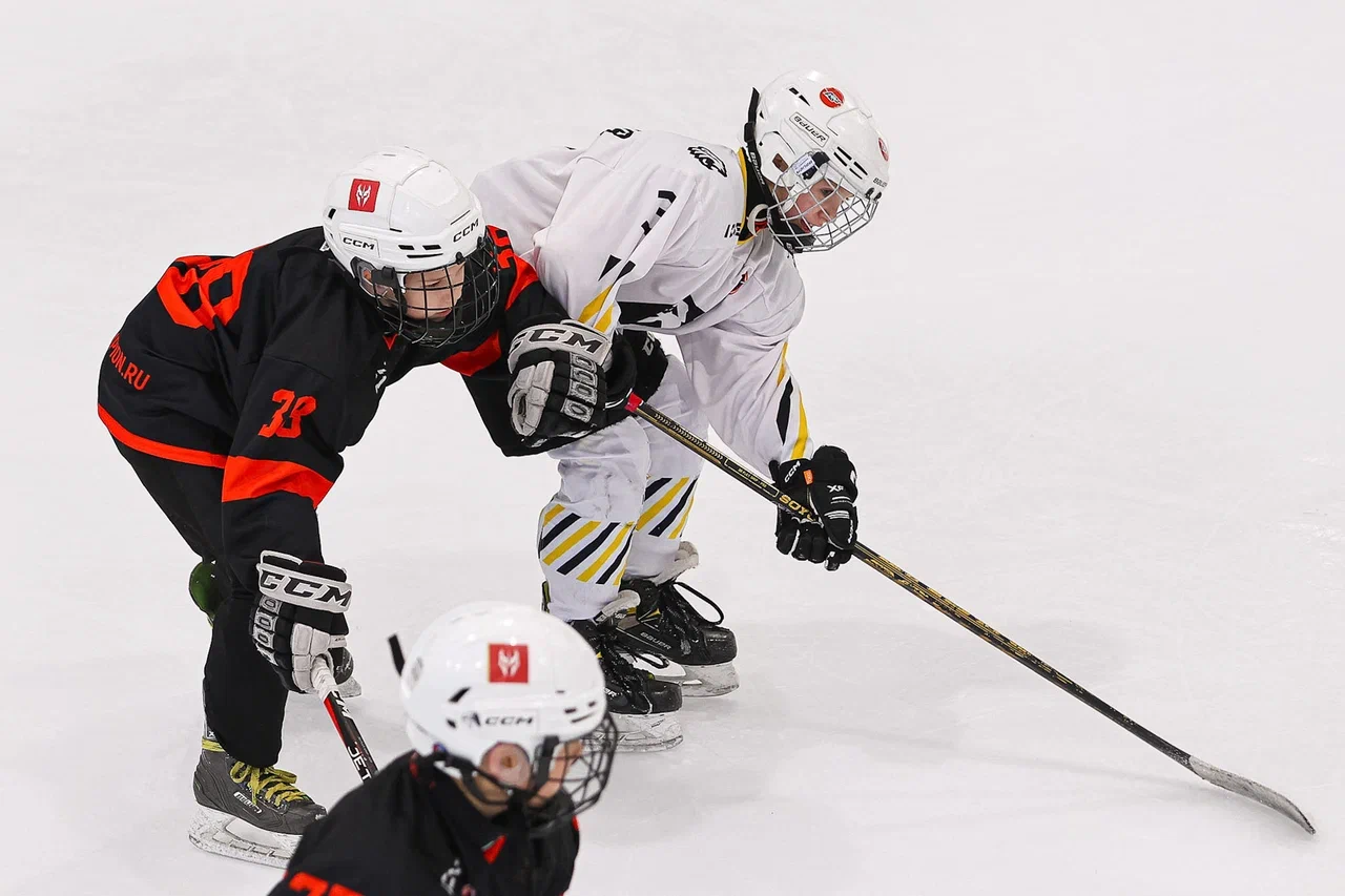 Фото: Рыцари - Арена Плей Юг 2015