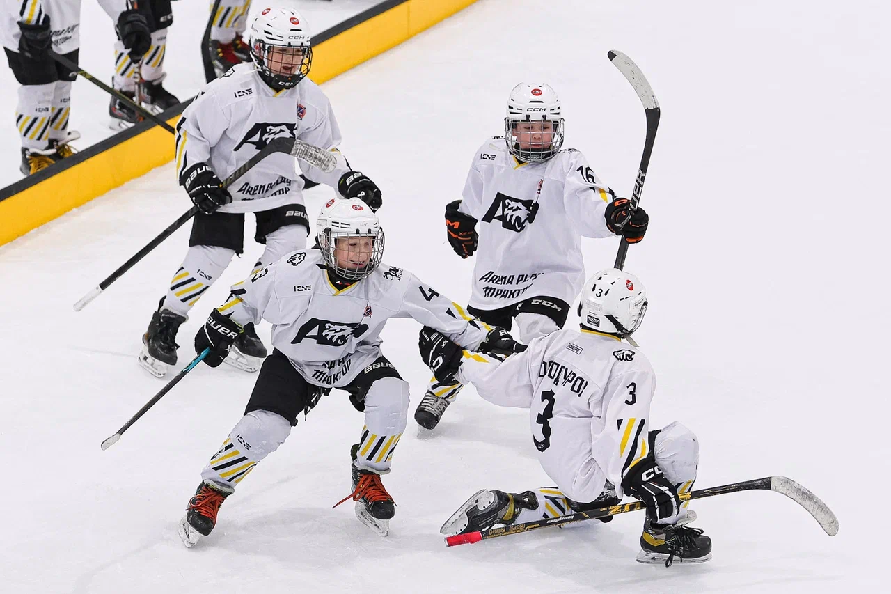 Фото: Рыцари - Арена Плей Юг 2015