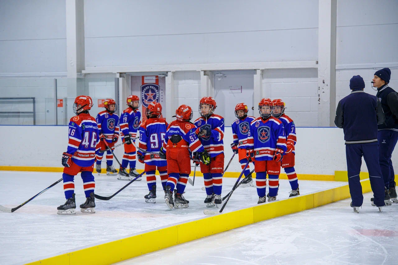 Фото: Академия Михайлова (Тула) - Локомотив 2015