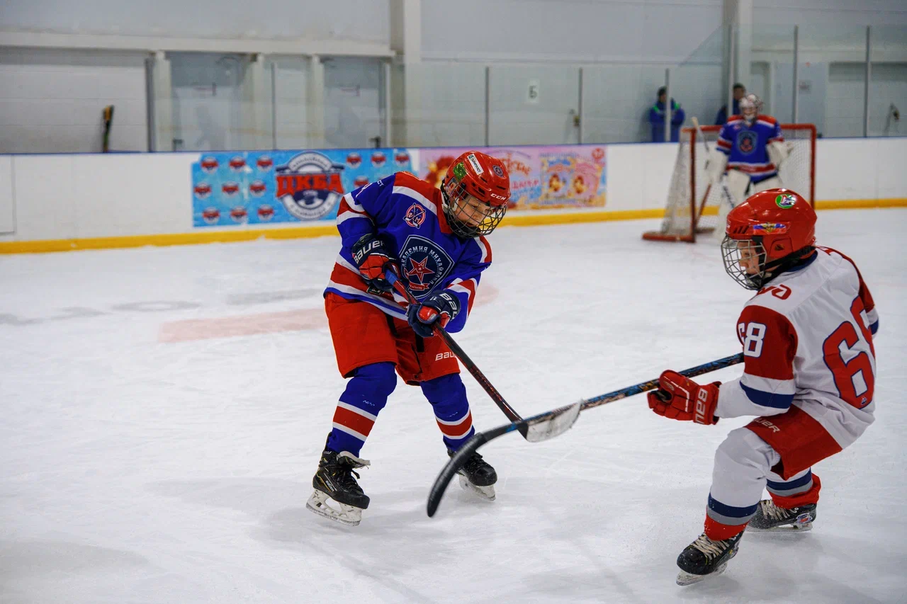 Фото: Академия Михайлова (Тула) - Локомотив 2015