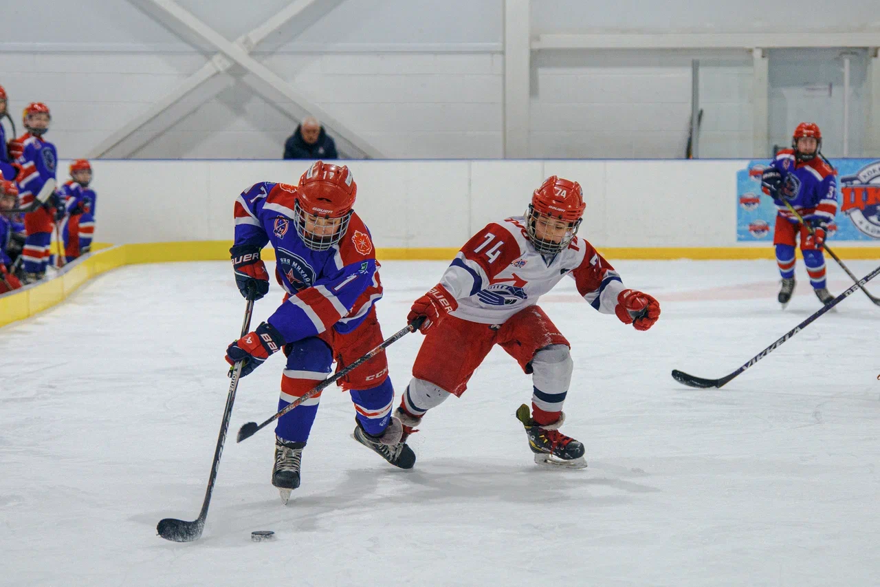 Фото: Академия Михайлова (Тула) - Локомотив 2015