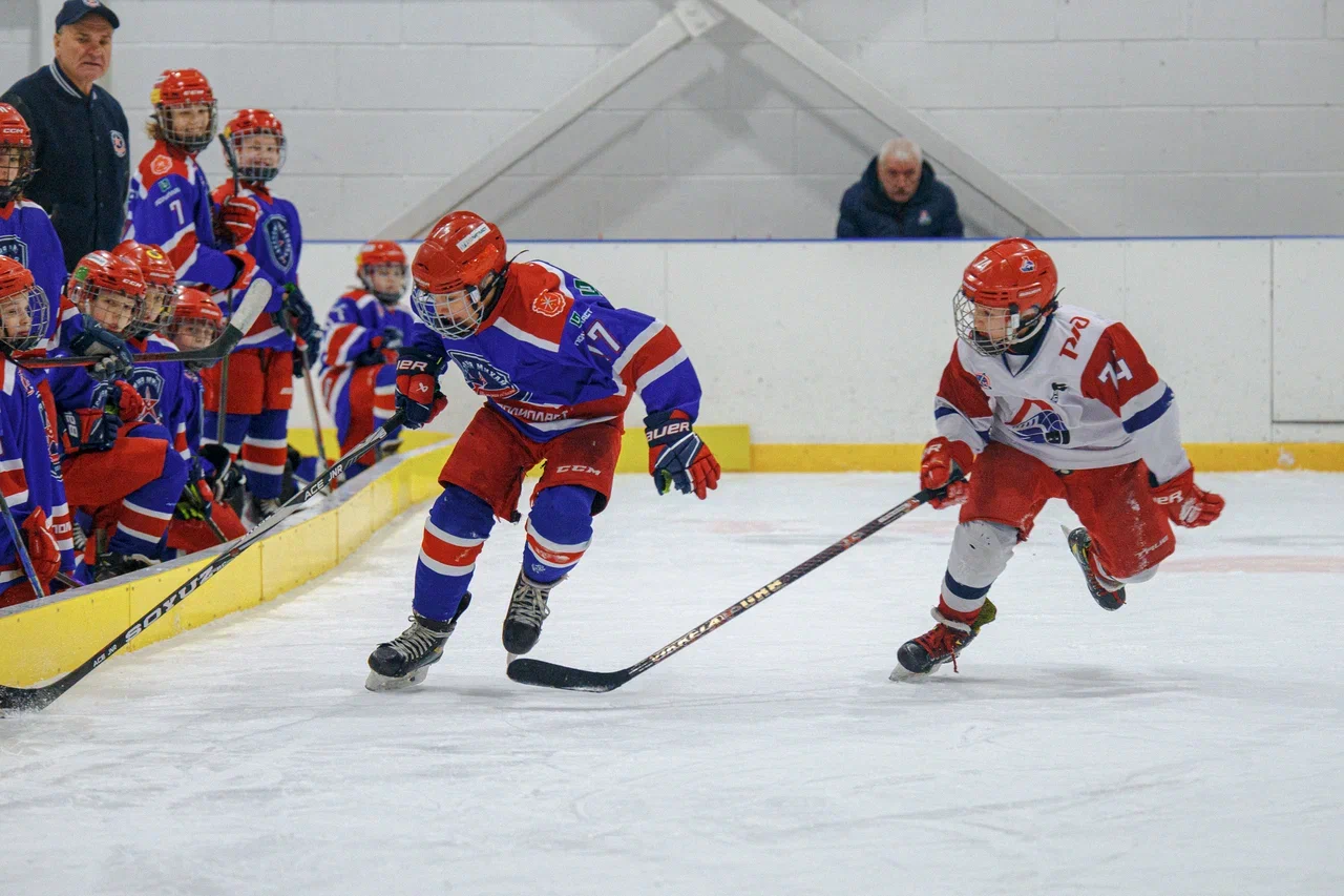 Фото: Академия Михайлова (Тула) - Локомотив 2015