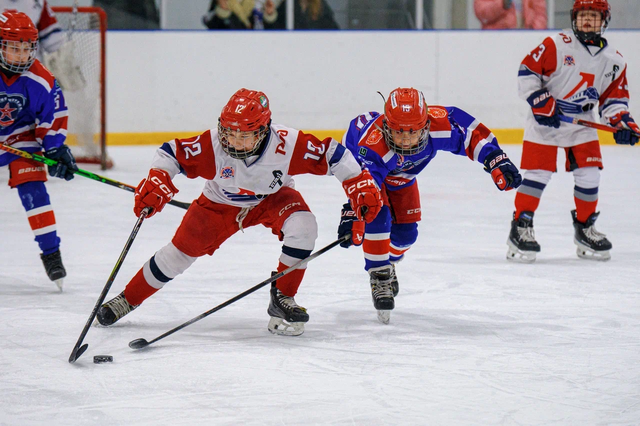 Фото: Академия Михайлова (Тула) - Локомотив 2015