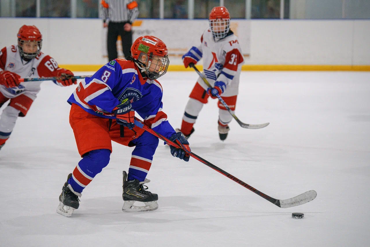 Фото: Академия Михайлова (Тула) - Локомотив 2015