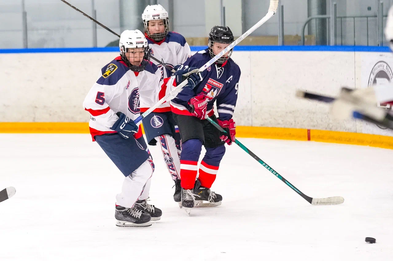 Фото: Деко Минералс - Буран 2012