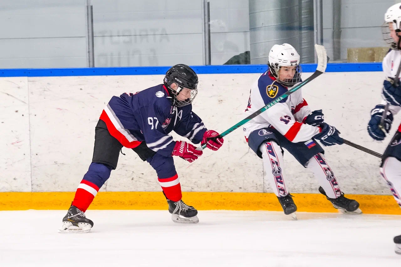 Фото: Деко Минералс - Буран 2012