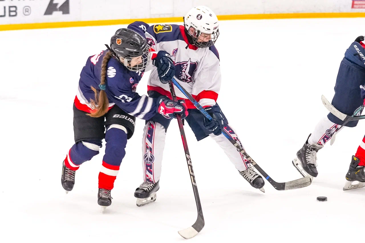 Фото: Деко Минералс - Буран 2012