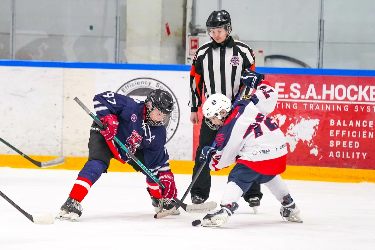 Фото: Деко Минералс - Буран 2012