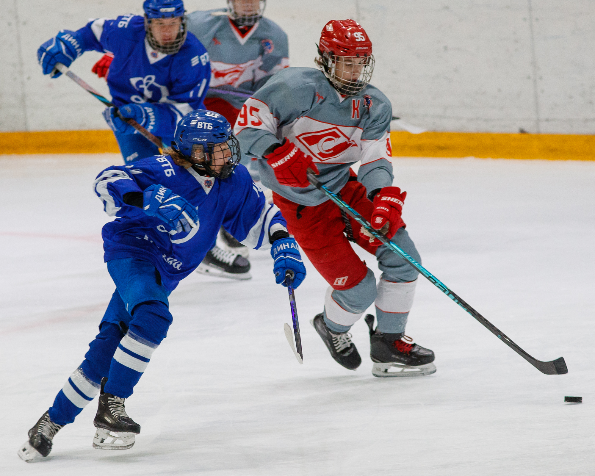 Фото: Динамо - Спартак 2012