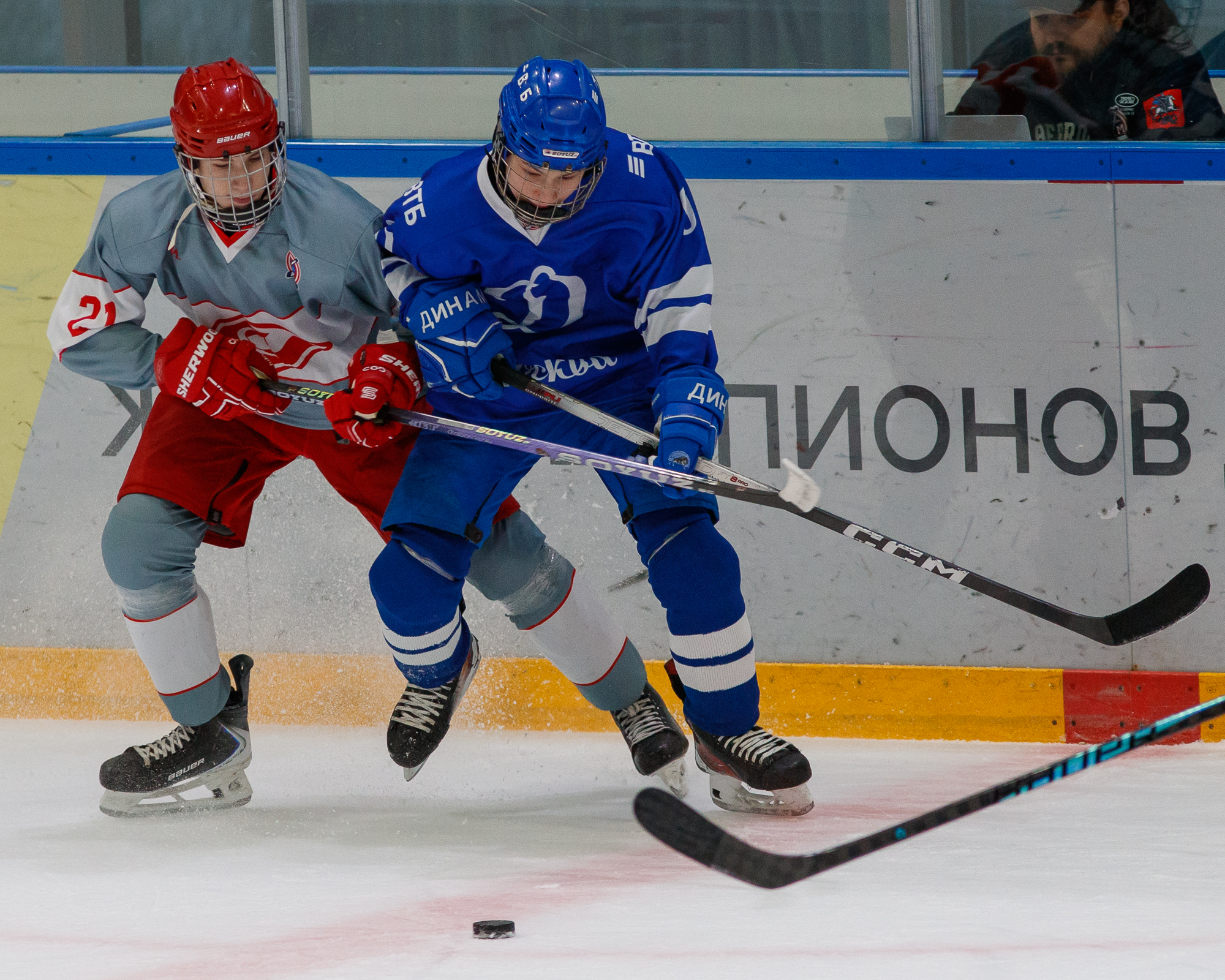 Фото: Динамо - Спартак 2012