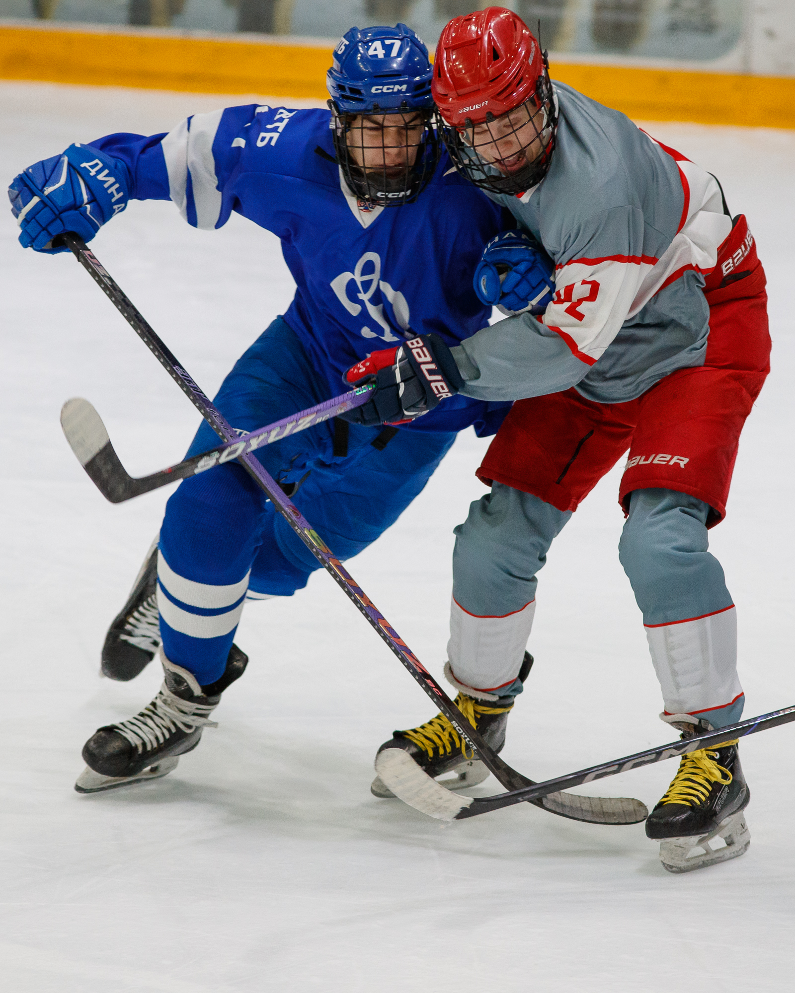 Фото: Динамо - Спартак 2012