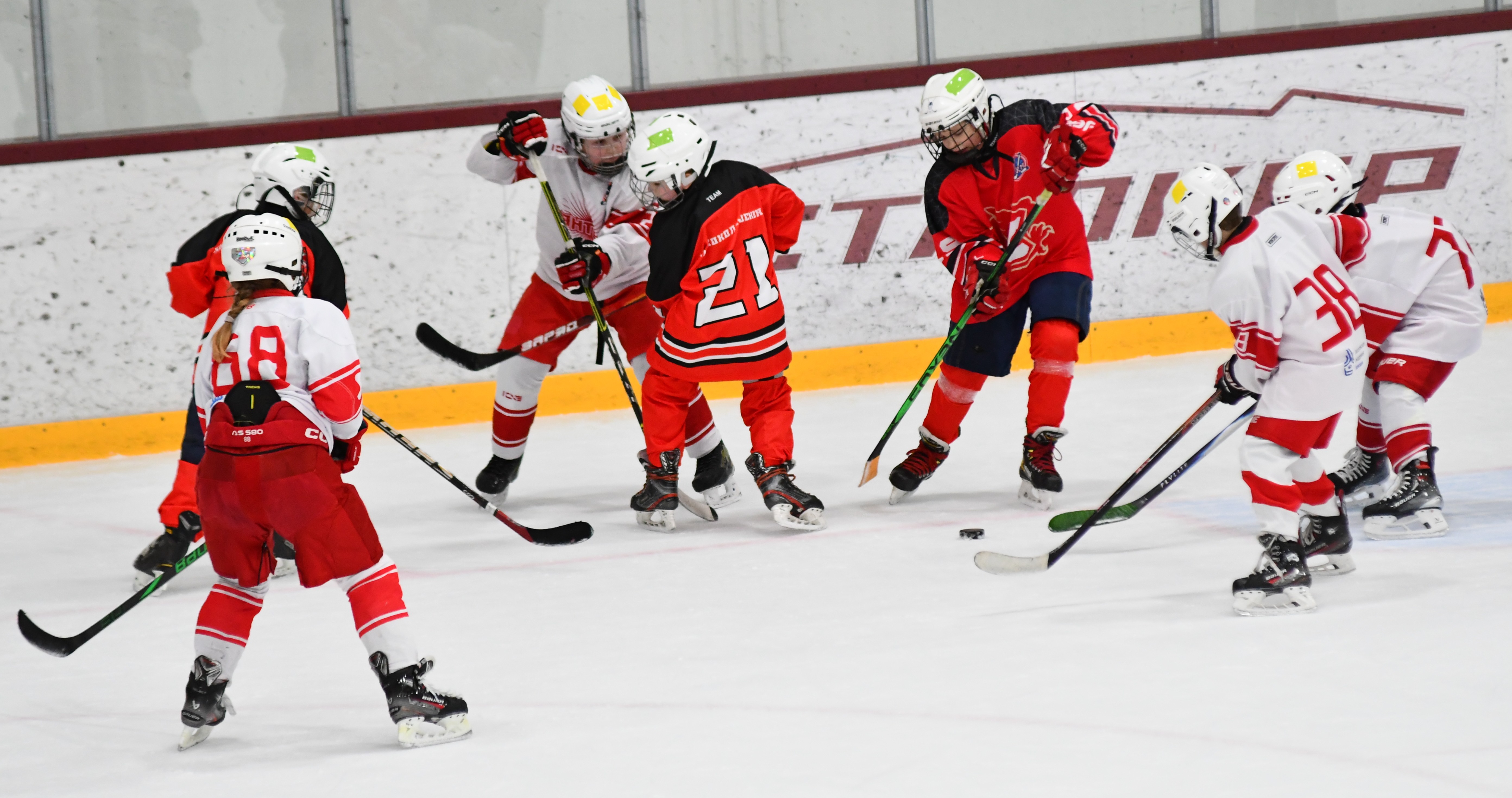 Фото: Заключительный день Кубка Москвы среди команд 2017 года рождения