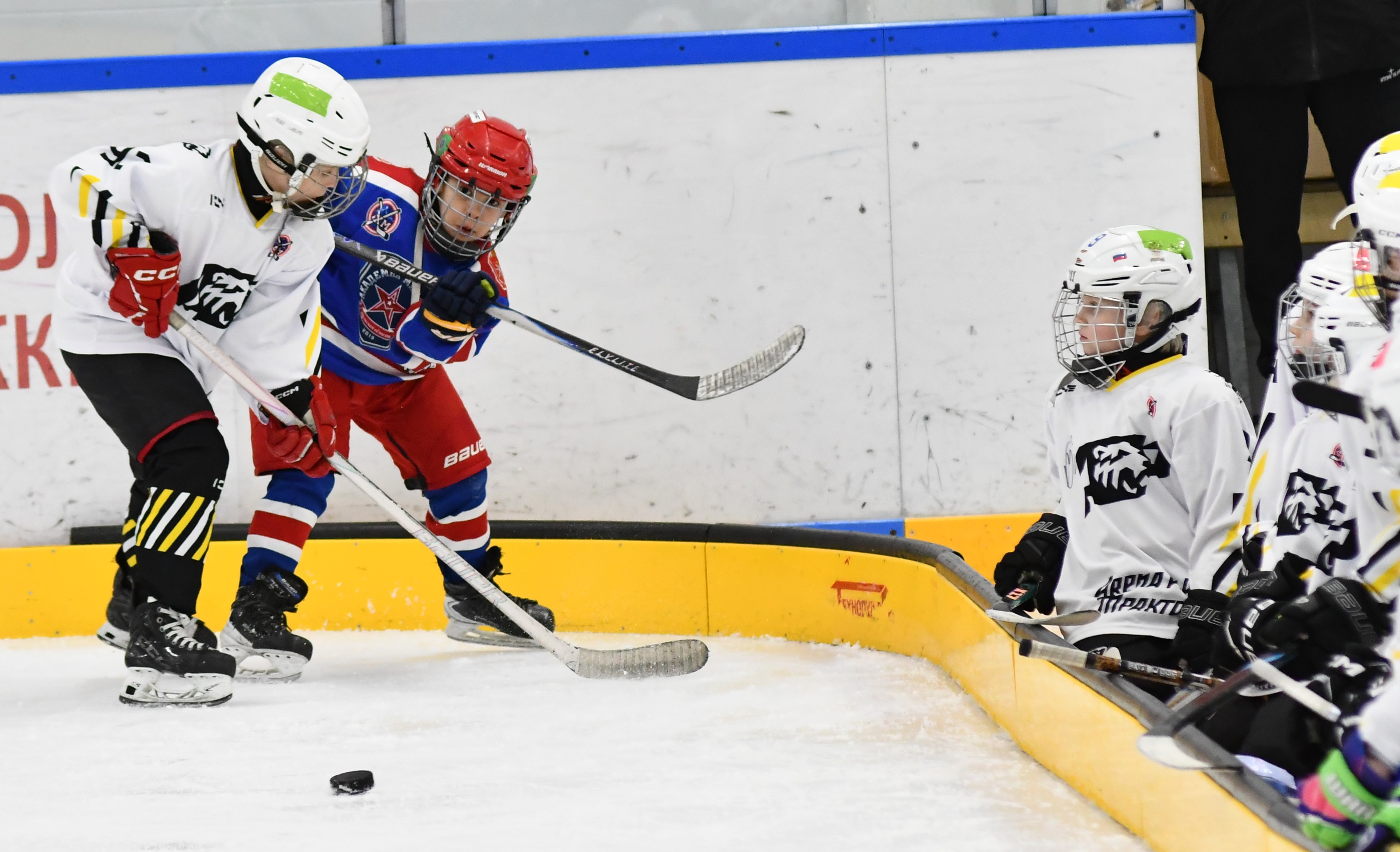 Фото: Заключительный день Кубка Москвы среди команд 2017 года рождения