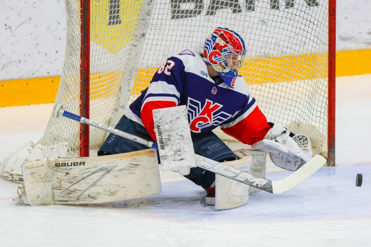 Фото: Крылья Советов - Динамо 2009 