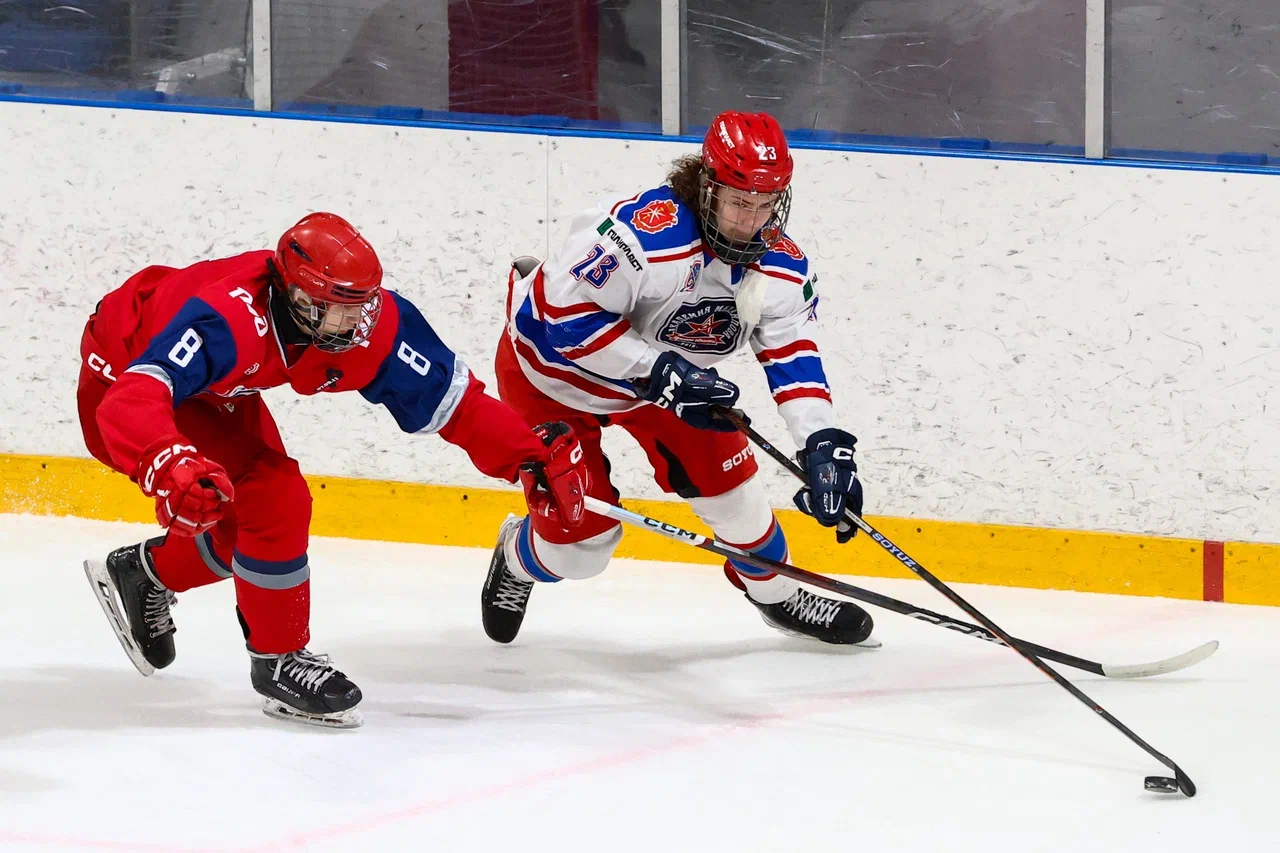 Фото: Локомотив - Академия Михайлова (Новомосковск) 2009