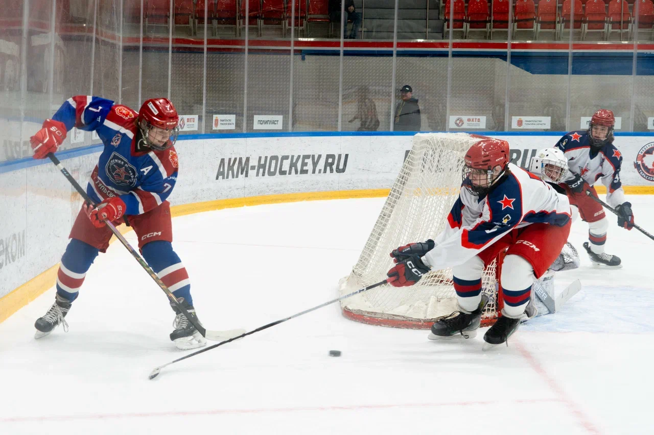 Фото: Академия Михайлова (Новомосковск) - ЦСКА 2011