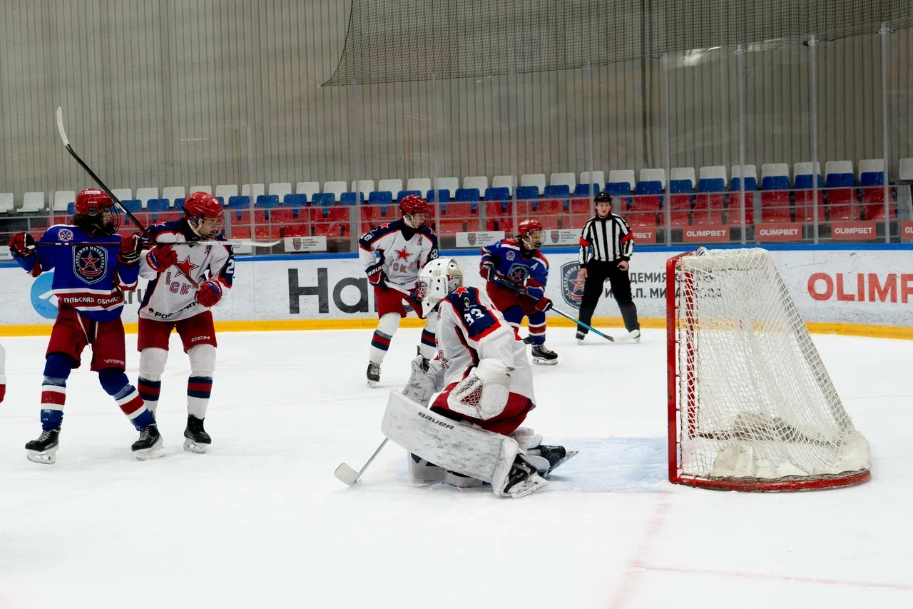 Фото: Академия Михайлова (Новомосковск) - ЦСКА 2011