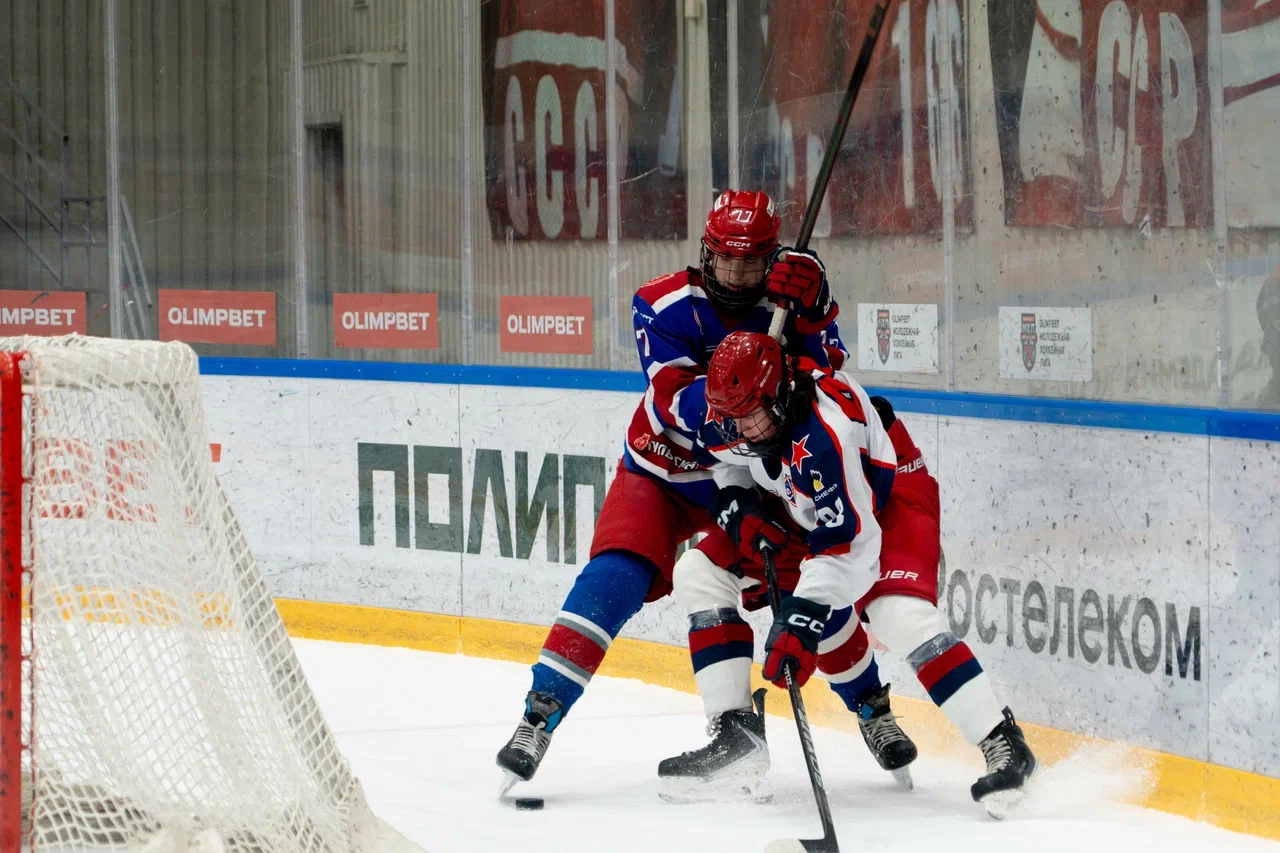 Фото: Академия Михайлова (Новомосковск) - ЦСКА 2011