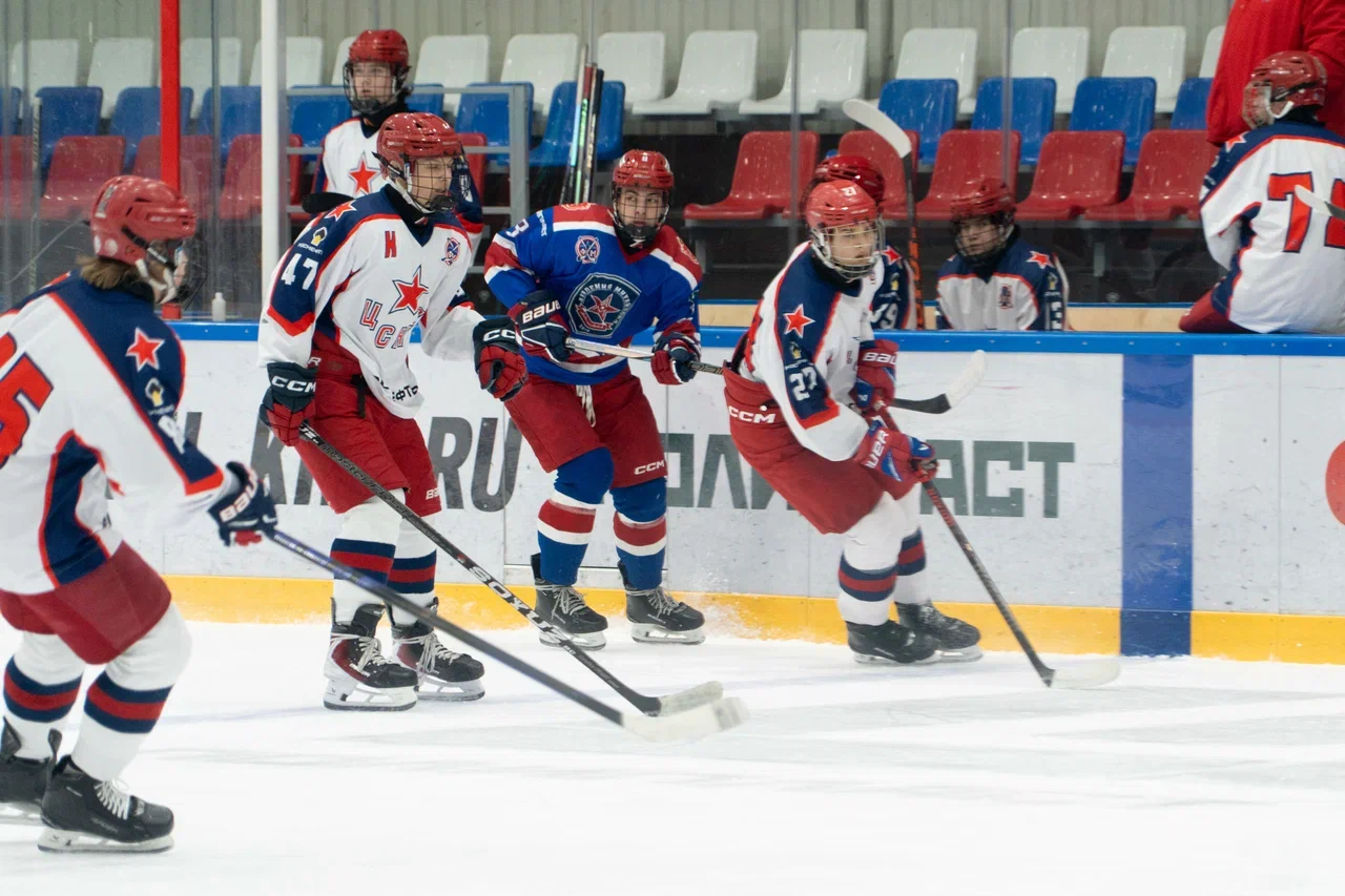 Фото: Академия Михайлова (Новомосковск) - ЦСКА 2011