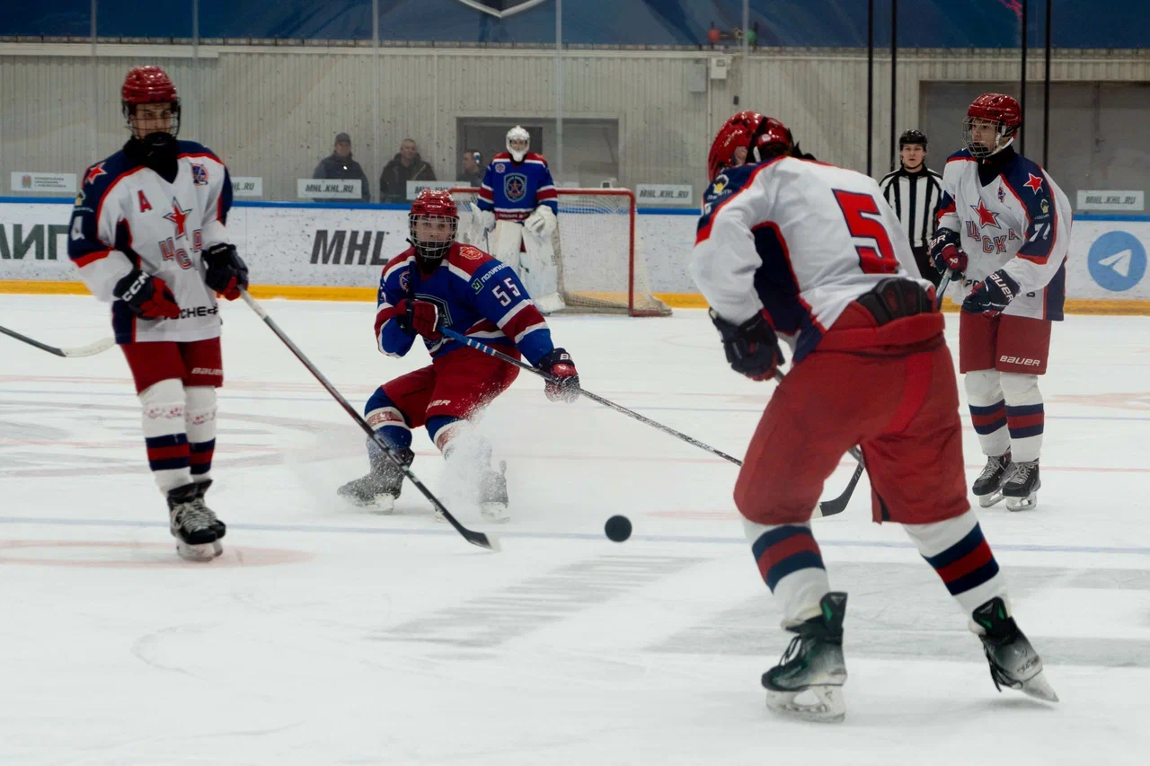 Фото: Академия Михайлова (Новомосковск) - ЦСКА 2011