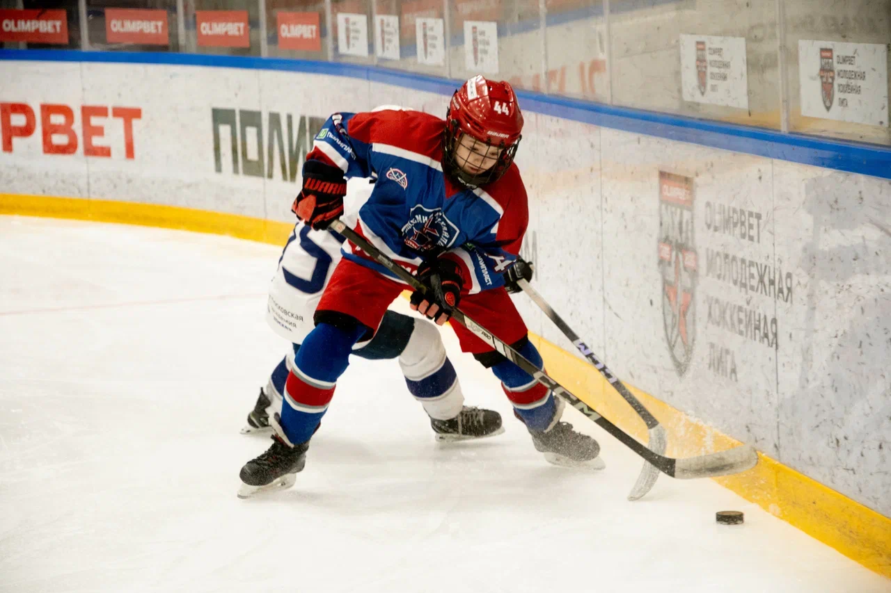 Фото: Академия Михайлова (Новомосковск) - Белые Медведи 2014