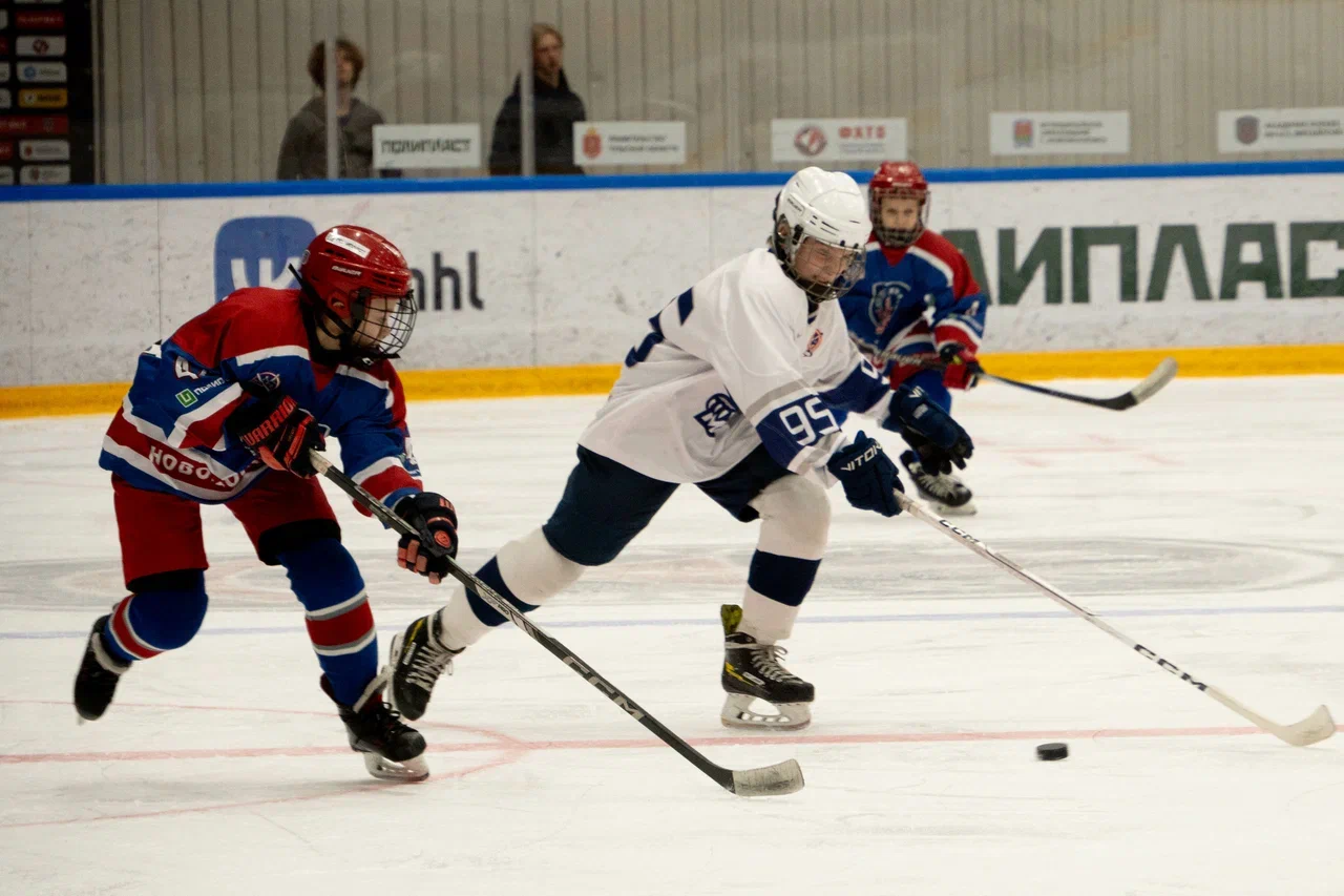Фото: Академия Михайлова (Новомосковск) - Белые Медведи 2014