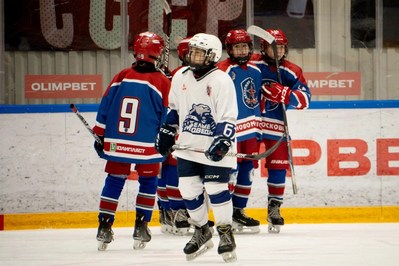 Фото: Академия Михайлова (Новомосковск) - Белые Медведи 2014