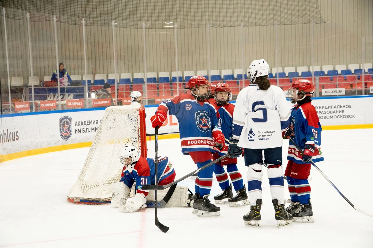 Фото: Академия Михайлова (Новомосковск) - Белые Медведи 2014