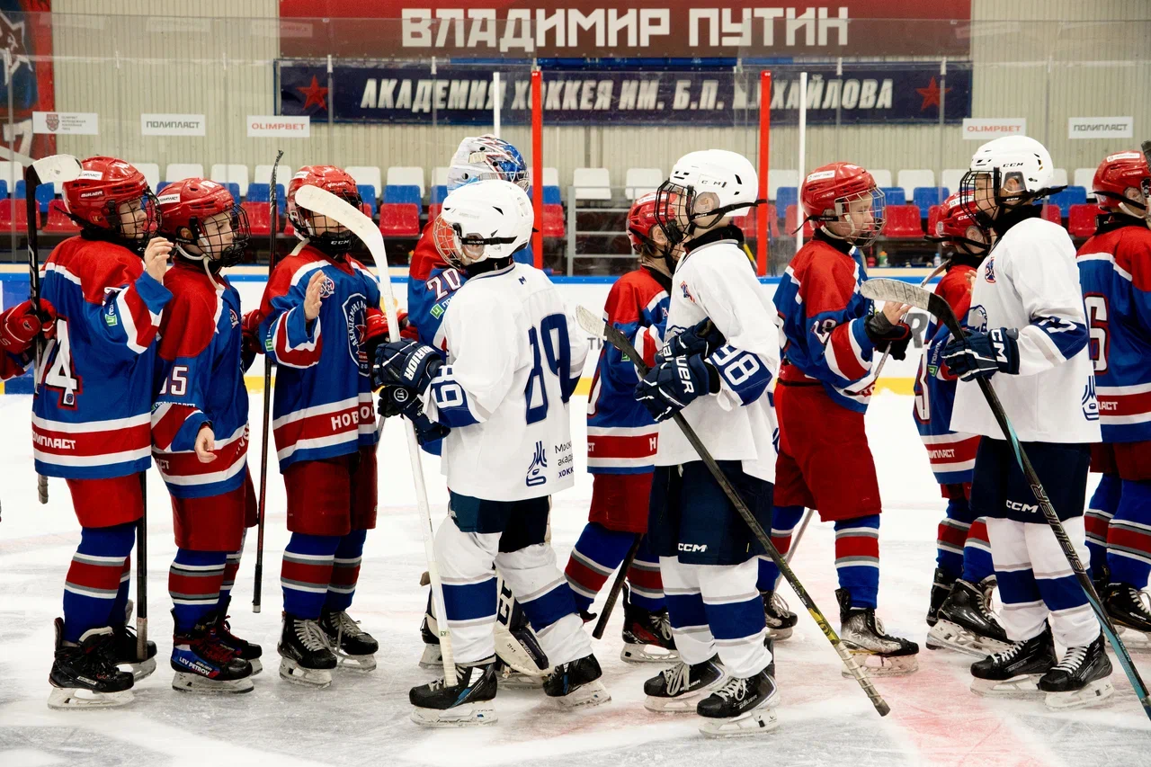 Фото: Академия Михайлова (Новомосковск) - Белые Медведи 2014