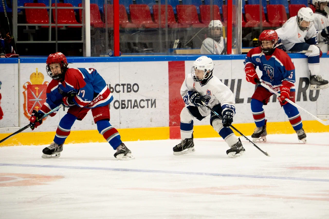 Фото: Академия Михайлова (Новомосковск) - Белые Медведи 2014