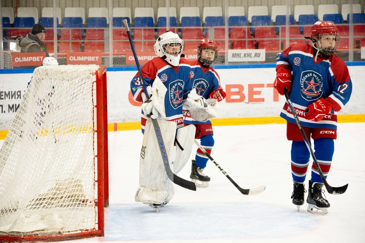 Фото: Академия Михайлова (Новомосковск) - Белые Медведи 2014